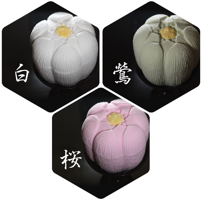 白、鴬、さくら